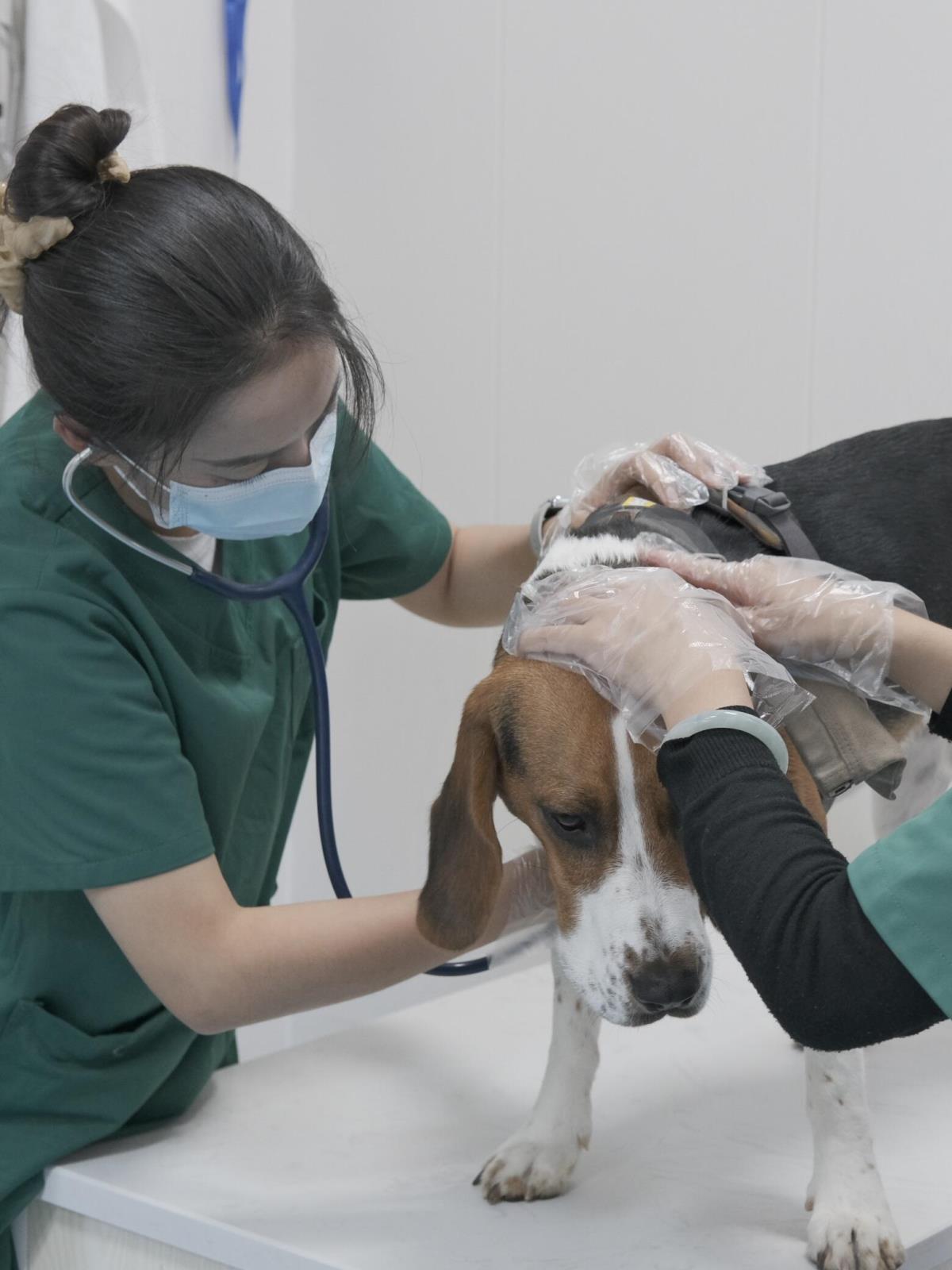 7dab590fd5ae3393af86a7140c00cfbf_SKVjhUFaTT-v62Sbp2kzV557t9aKznf-d2s81G-iU8k92faX8g0k5ubYfWaN-I9A.jpg 7dab590fd5ae3393af86a7140c00cfbf_SKVjhUFaTT-v62Sbp2kzV557t9aKznf-d2s81G-iU8k92faX8g0k5ubYfWaN-I9A.jpg