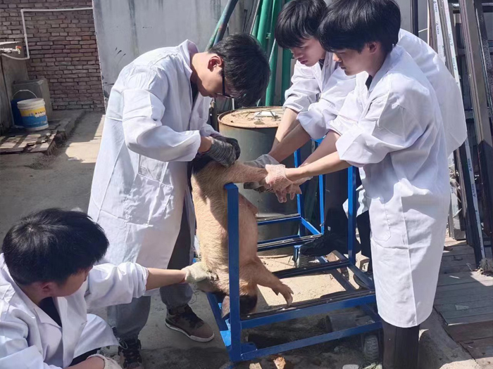 f13df9490870914f16c4abe4c0ae4b65_1-23042510220JM.jpg f13df9490870914f16c4abe4c0ae4b65_1-23042510220JM.jpg