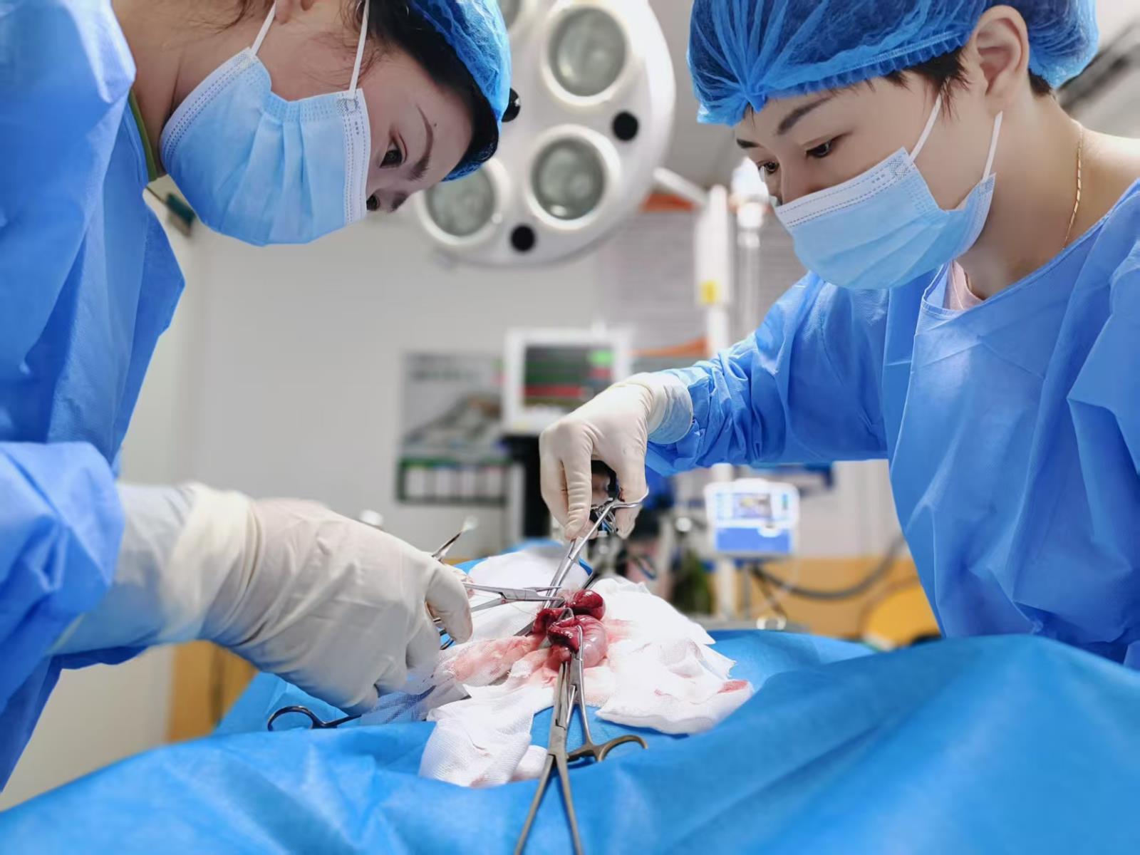 4e917652316e6920a3127416409186f4_59072880.jpg 4e917652316e6920a3127416409186f4_59072880.jpg