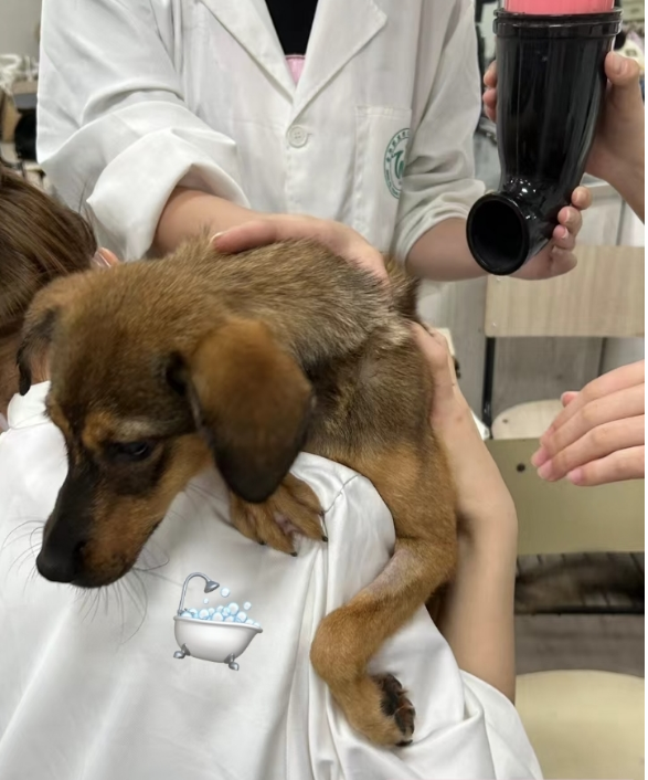 1760080363773.png 1760080363773.png