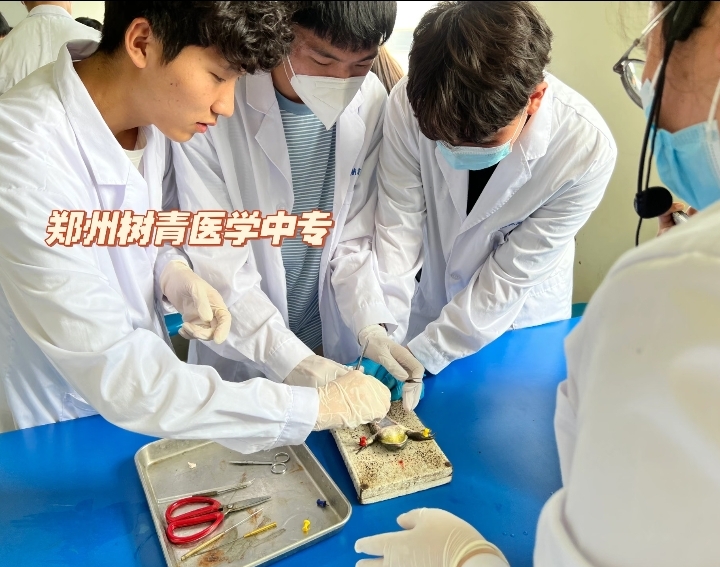 bcd586b5719a59d3bb75217ad2e5ce5.jpg bcd586b5719a59d3bb75217ad2e5ce5.jpg