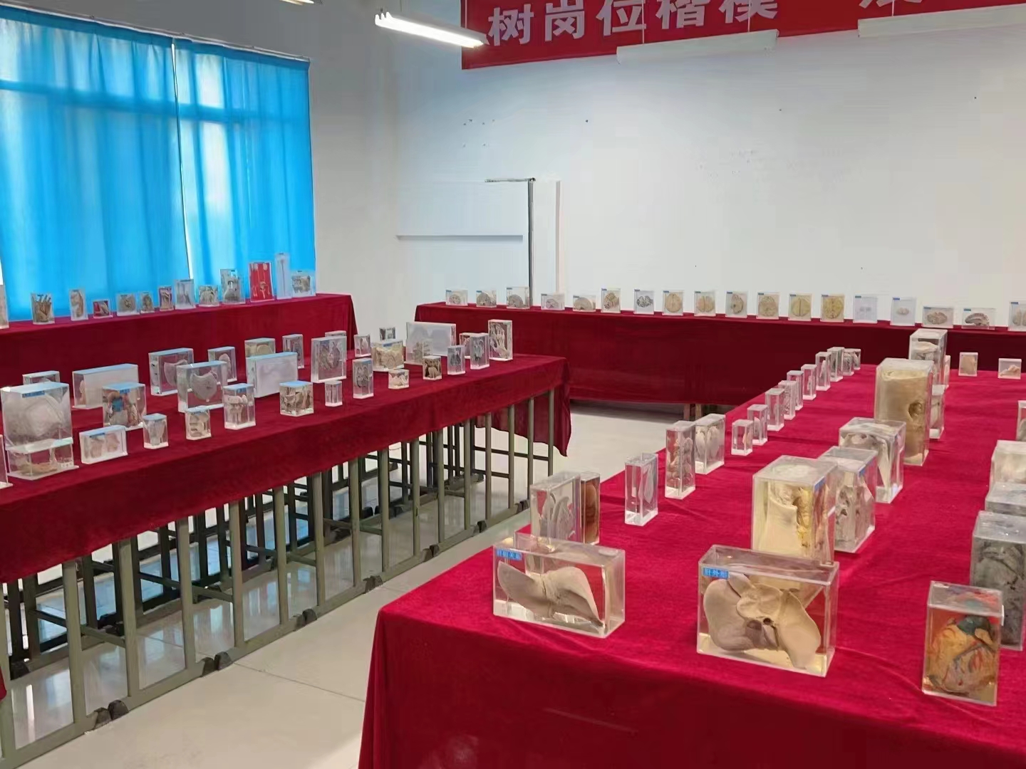 3d38410fddaa2218caec2657cd68e5c.jpg 3d38410fddaa2218caec2657cd68e5c.jpg