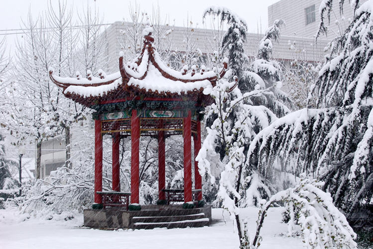 243e085b4835e73c2e5827e9c422408.png 243e085b4835e73c2e5827e9c422408.png