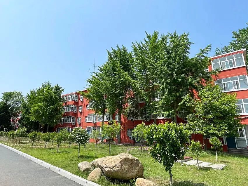 2559df7ef44dd7ef73a94db47a9c20e.jpg 2559df7ef44dd7ef73a94db47a9c20e.jpg