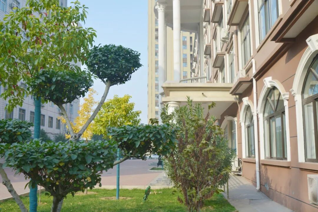 a0d4d28232f326bf44ad54be0cf93c58.jpg a0d4d28232f326bf44ad54be0cf93c58.jpg