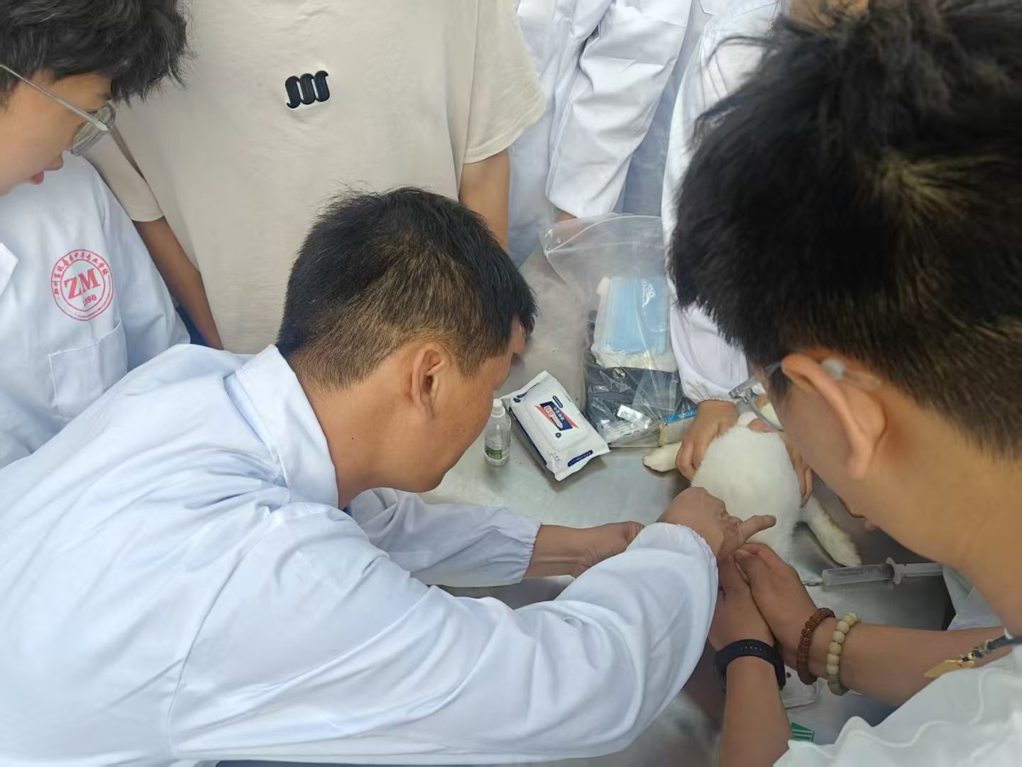 5c2656dce9f6ad44d2266c12139f419.jpg 5c2656dce9f6ad44d2266c12139f419.jpg