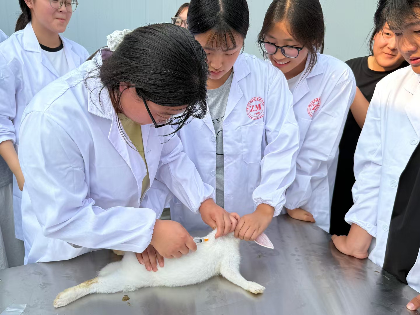 e08572c7f1e841db89a1d0da1c4c6d2.jpg e08572c7f1e841db89a1d0da1c4c6d2.jpg