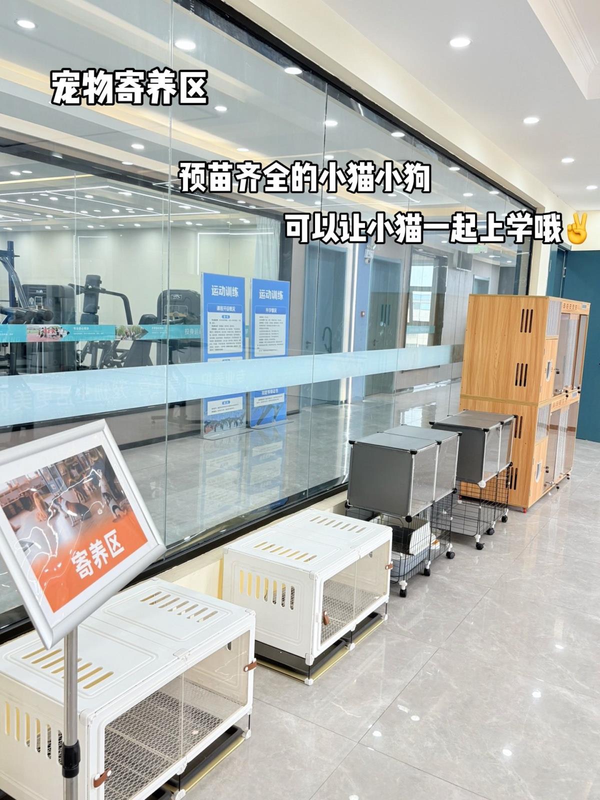 d51bf1c55a559c42f50df022844f436.jpg d51bf1c55a559c42f50df022844f436.jpg