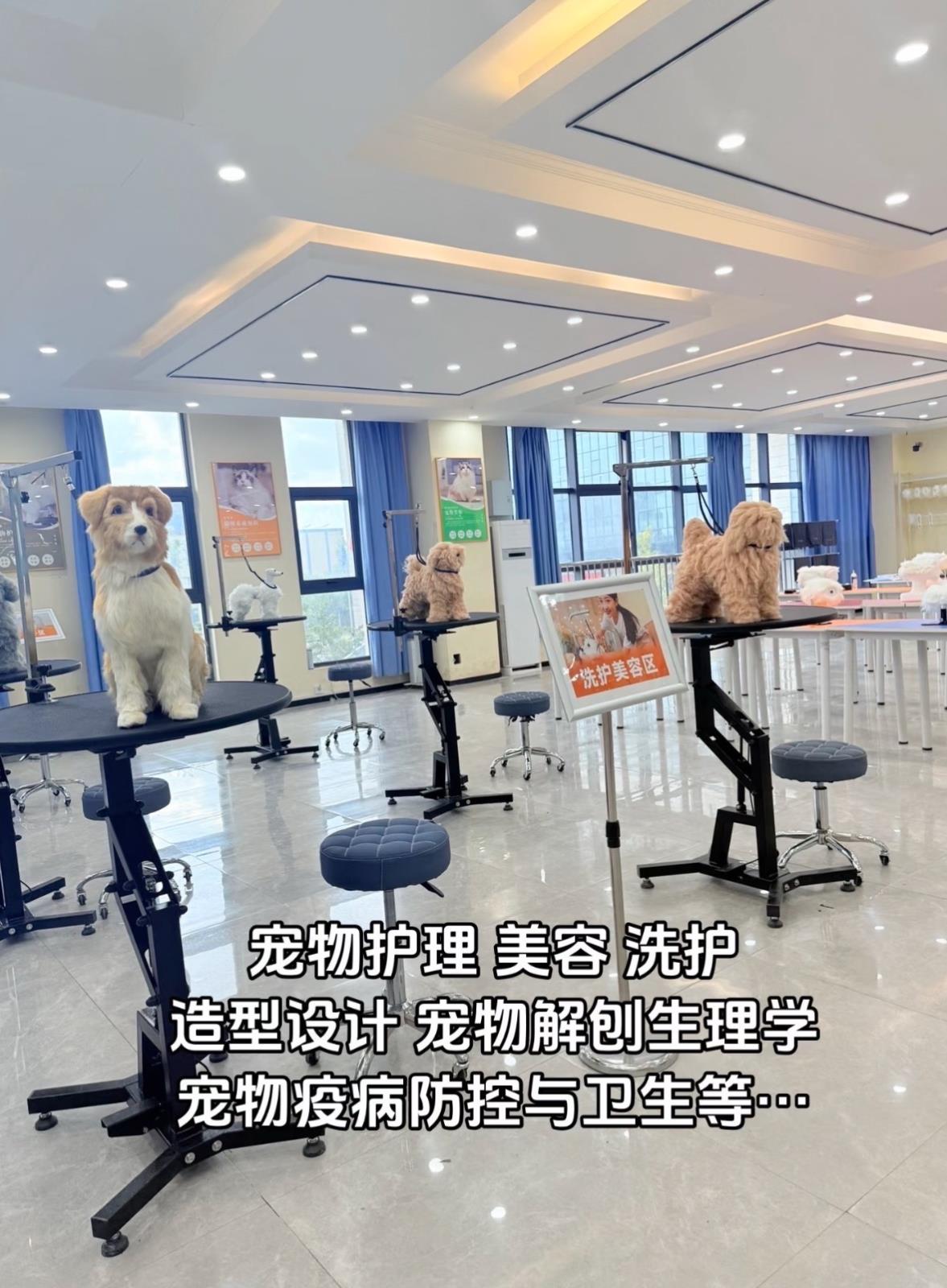 8a13540eda9c96f1d1486f5c06a3a0d.jpg 8a13540eda9c96f1d1486f5c06a3a0d.jpg